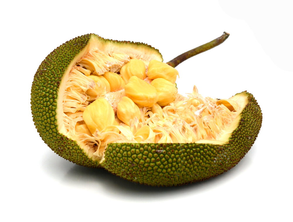 Shutterstock 295598852 wysbgs