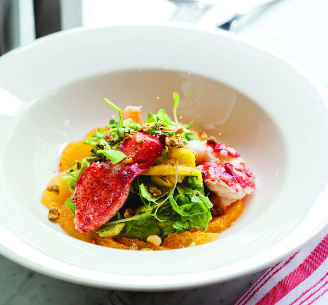 Hou 1116 dine toulouse lobster salad eqxeco