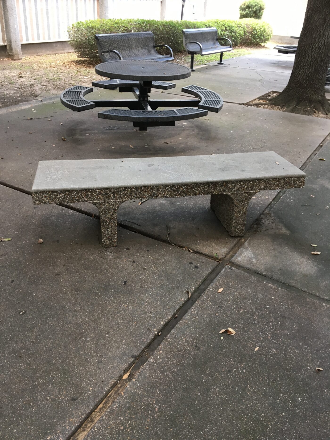 The lone bench in the courtyard became my lunch spot every day during freshman year.