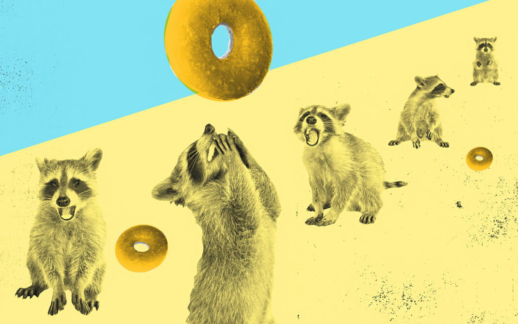 Only in Houston: Trash Pandas, Margaritas, and Trump Burger Drama Only in Houston: Trash Pandas, Margaritas, and Trump Burger Drama