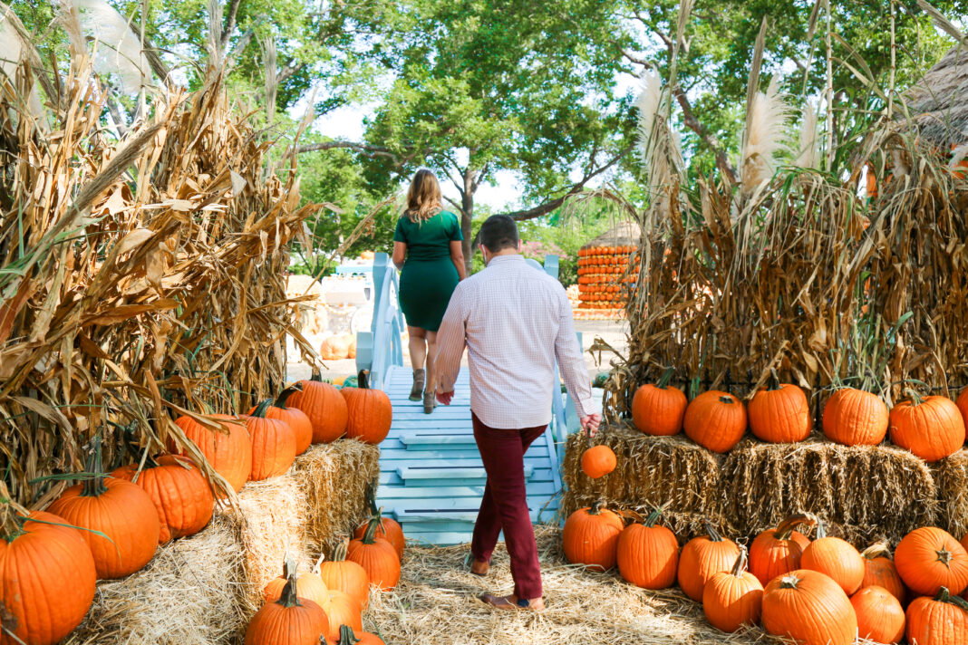 Fall-ing for Dallas Fall-ing for Dallas