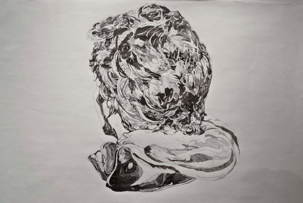 Sketches: Darcy Rosenberger Sketches: Darcy Rosenberger