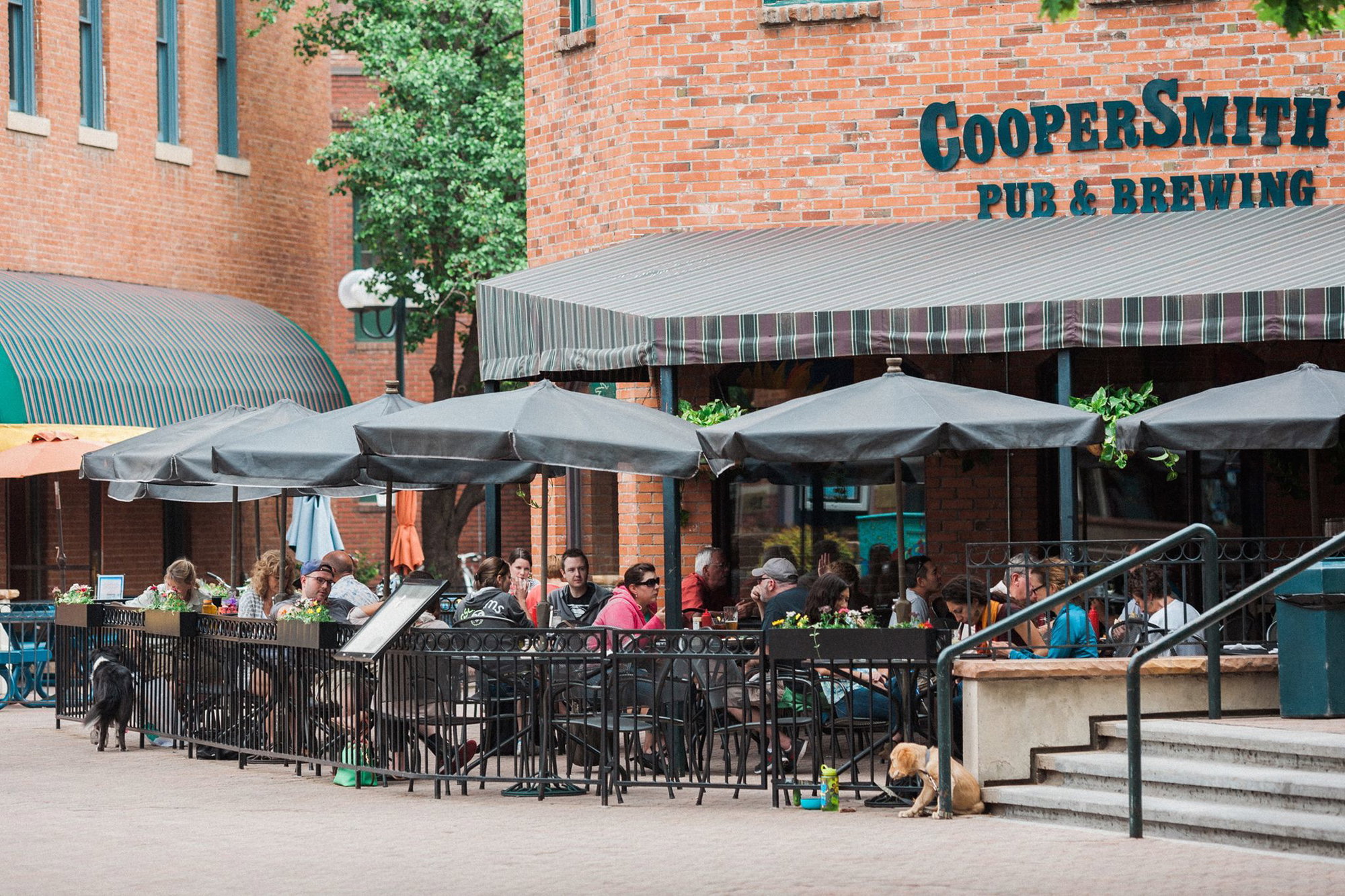 Coopersmith dnj7go