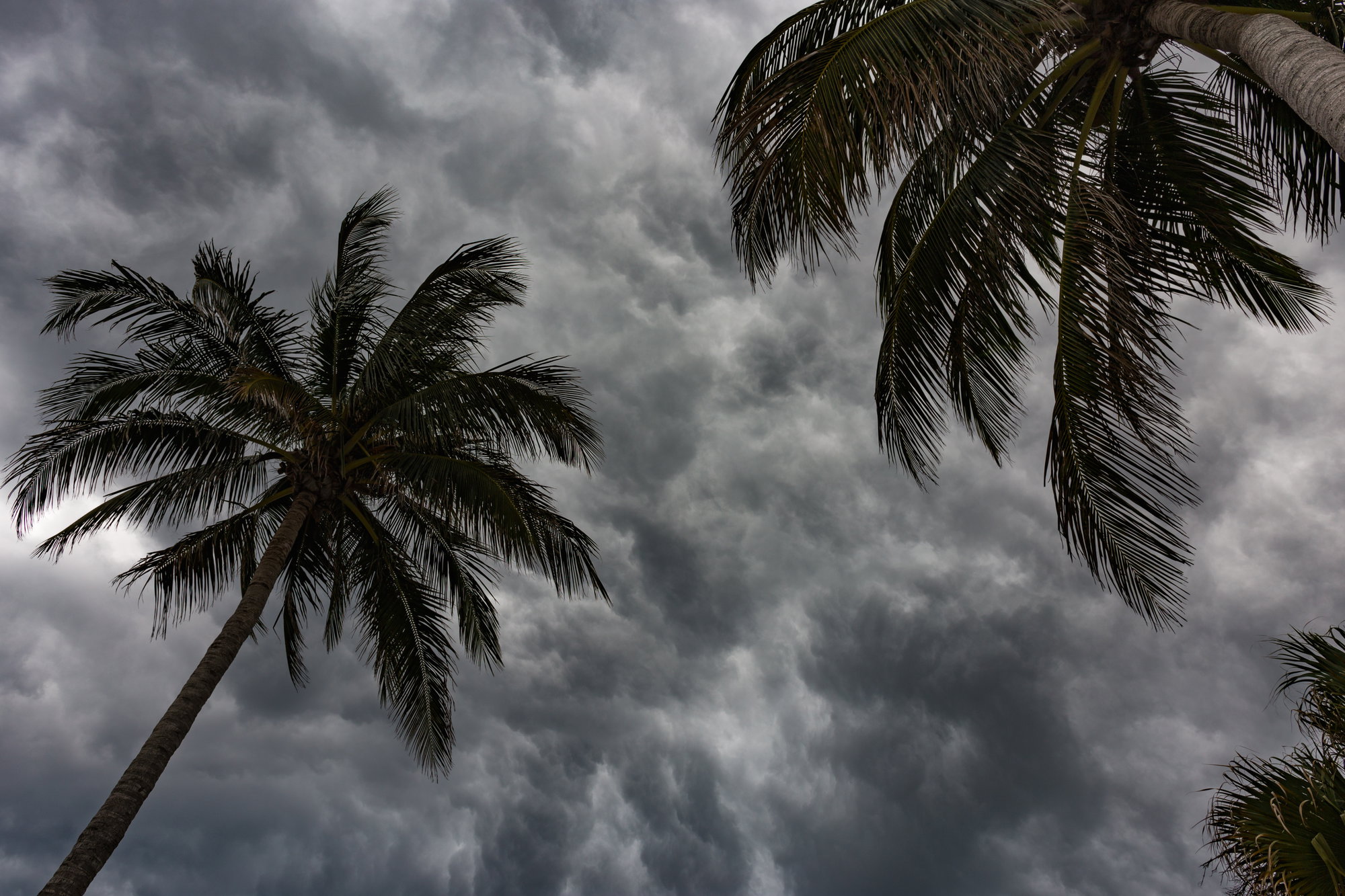 There’s a Tropical Storm This Weekend, More Rain Next Week There’s a Tropical Storm This Weekend, More Rain Next Week