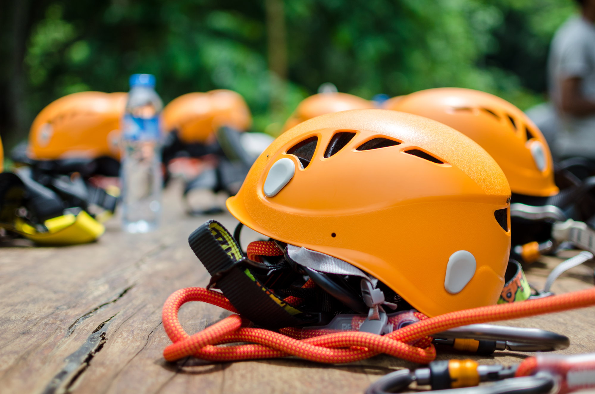 Get a Free Taste of Gator Bayou Adventure Park in November Get a Free Taste of Gator Bayou Adventure Park in November